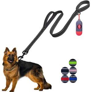 Heavy Duty Double Handle Dog Leash - 5 FT with Comfortable Padded and Reflective